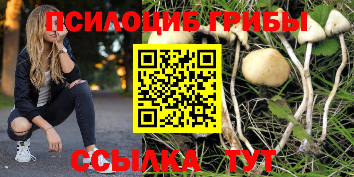 Чехов  Галлюциногенные грибы мицелий  Галлюциногенные грибы MAGIC MUSHROOMS  Вход с VPN 